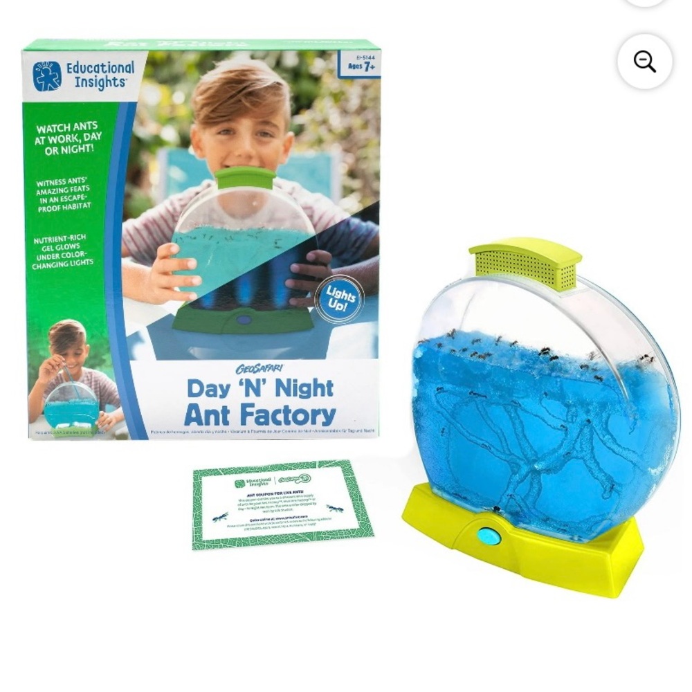 Ant Factory Day -N- Night Habitat